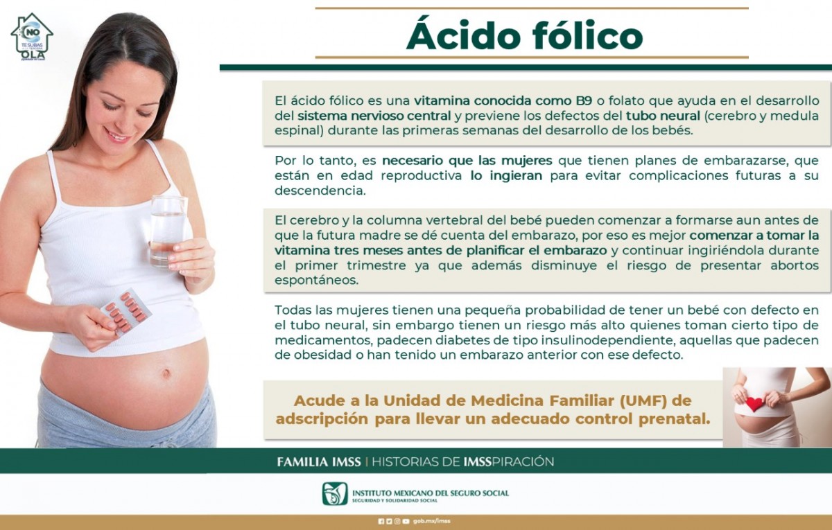 Por qué es necesario el ácido fólico durante el embarazo - Embarazo