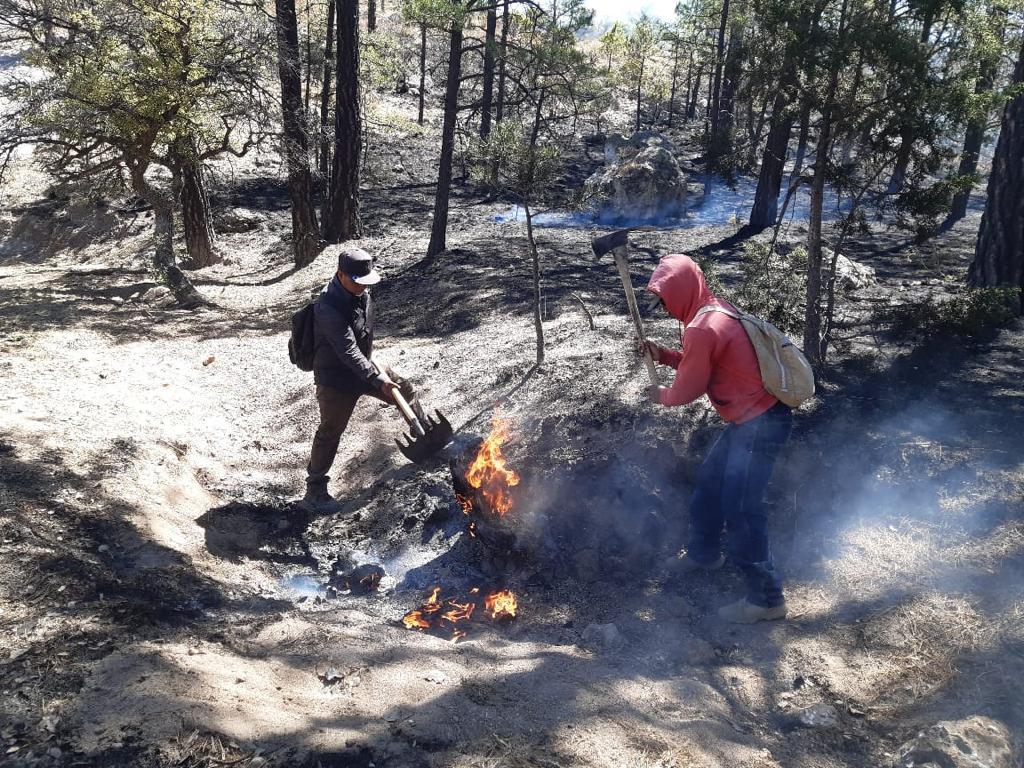 Siguen Combatiendo 12 Incendios Forestales En Chihuahua; Han Consumido ...