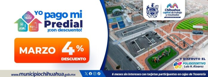 WhatsApp Image 2025-03-03 at 10.56.38 AM