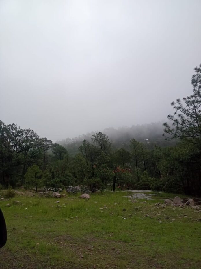 WhatsApp Image 2025-10-28 at 10.39.30 AM