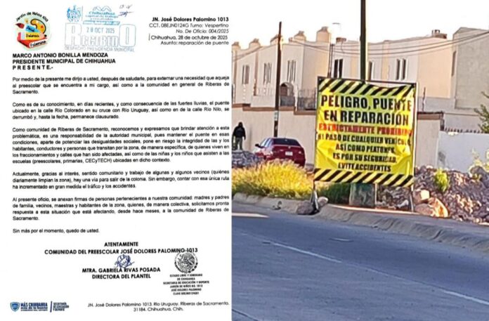 photo_4902364676721675097_y