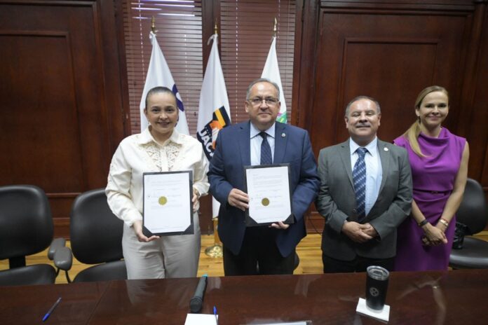 WhatsApp Image 2025-11-04 at 8.49.32 AM