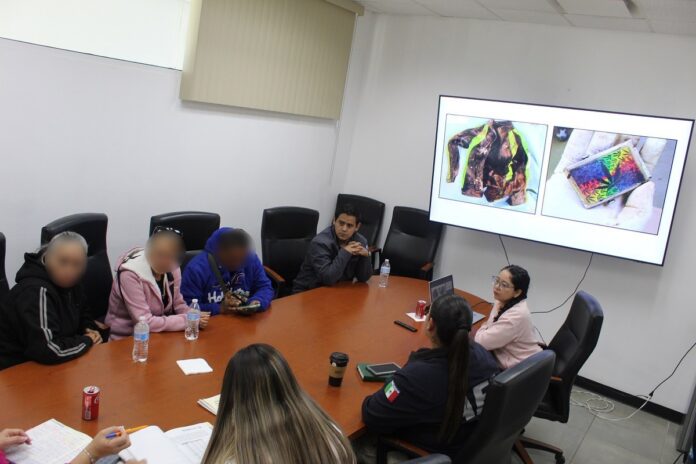 WhatsApp Image 2025-11-13 at 3.58.32 PM