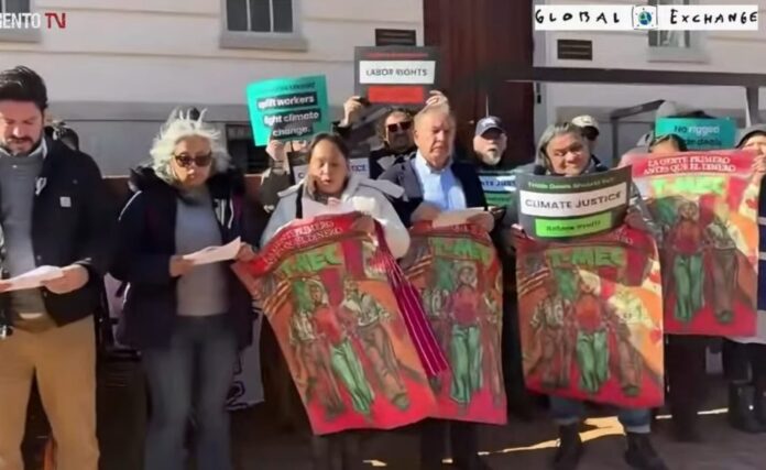 WhatsApp Image 2025-11-17 at 7.08.00 PM