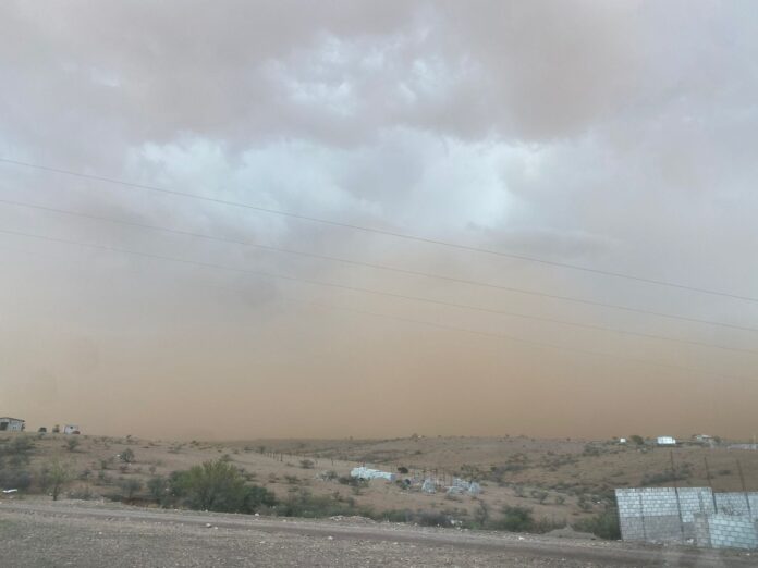 WhatsApp Image 2025-11-18 at 11.38.15 AM