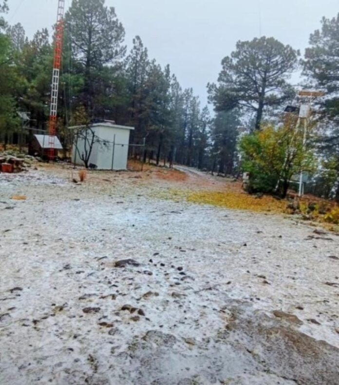 WhatsApp Image 2025-11-21 at 2.00.36 PM