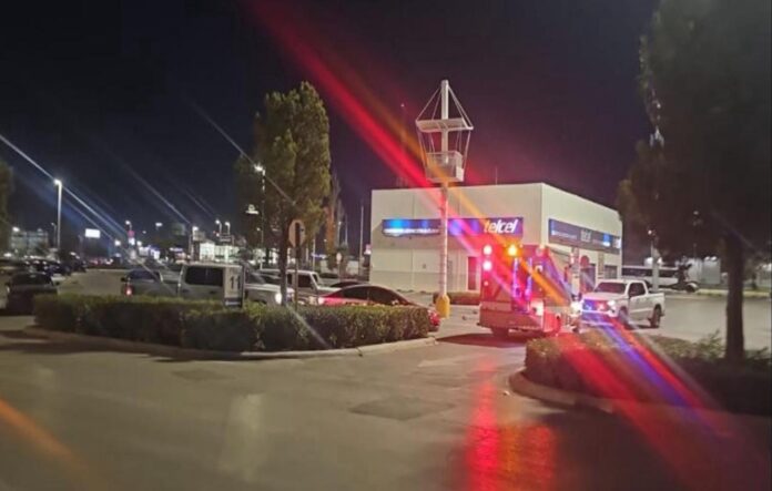 WhatsApp Image 2025-11-22 at 12.57.51 PM