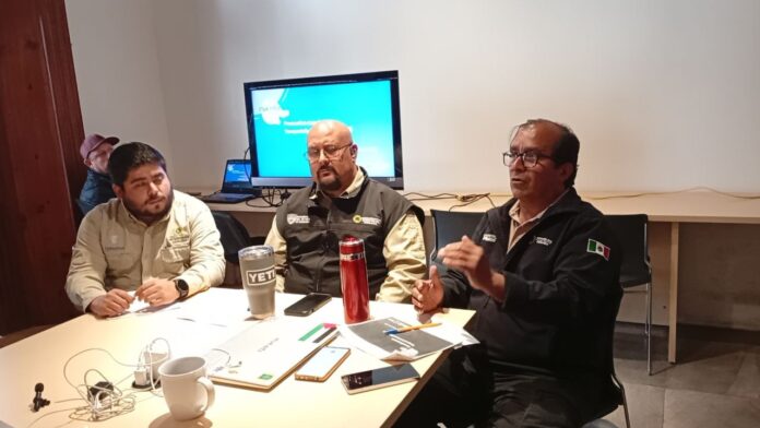 photo_4925001134351518466_y