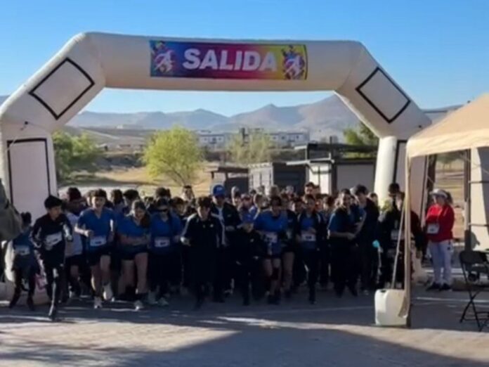 photo_4931871132109966104_y