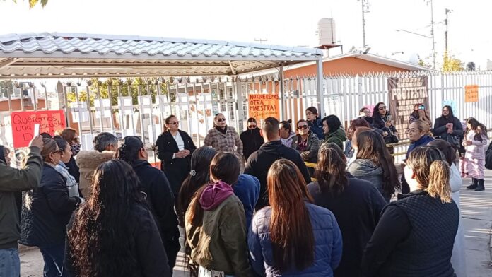 photo_4992421529509366533_y