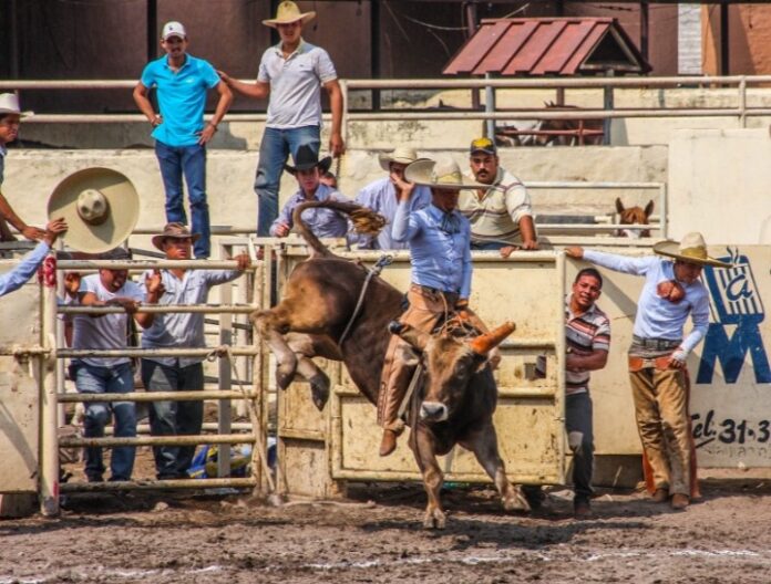 Screenshot_2025-12-30-20-37-15-18_680d03679600f7af0b4c700c6b270fe7~2