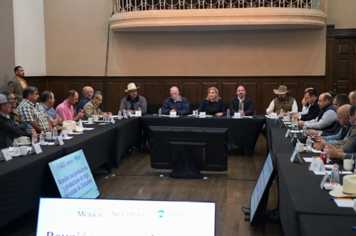 WhatsApp Image 2025-11-30 at 6.31.25 PM