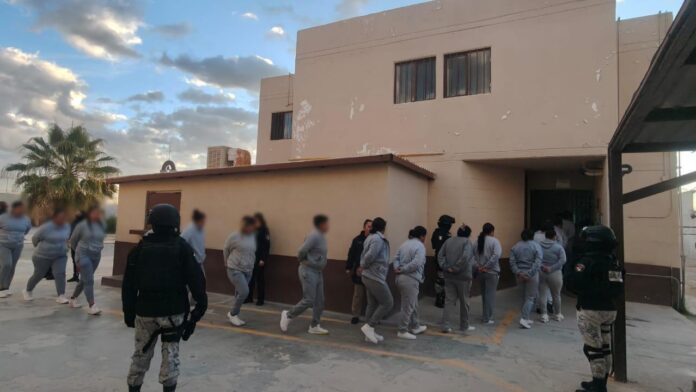 WhatsApp Image 2025-12-03 at 1.25.56 PM