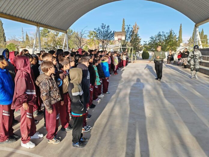 WhatsApp Image 2025-12-03 at 11.20.43 AM