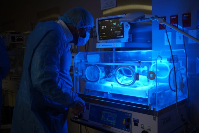 WhatsApp Image 2025-12-03 at 11.23.22 AM