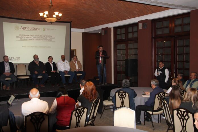 WhatsApp Image 2025-12-03 at 12.59.04 PM