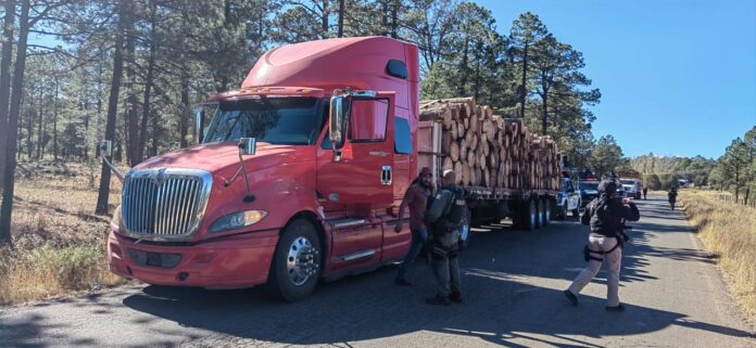 WhatsApp Image 2025-12-03 at 9.29.36 AM