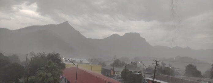 WhatsApp Image 2025-12-04 at 11.33.19 AM