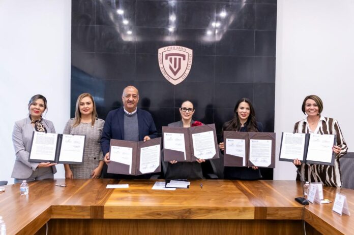 WhatsApp Image 2025-12-18 at 8.11.40 AM