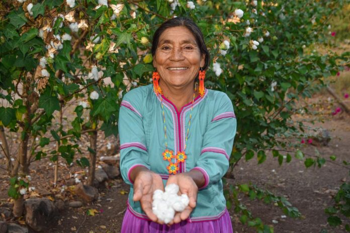 WhatsApp Image 2025-12-29 at 12.38.37 PM