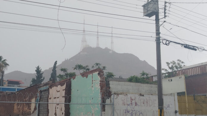 WhatsApp Image 2025-12-30 at 12.57.25 PM