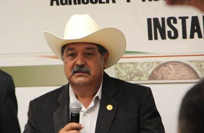 photo_5010711351386639161_x