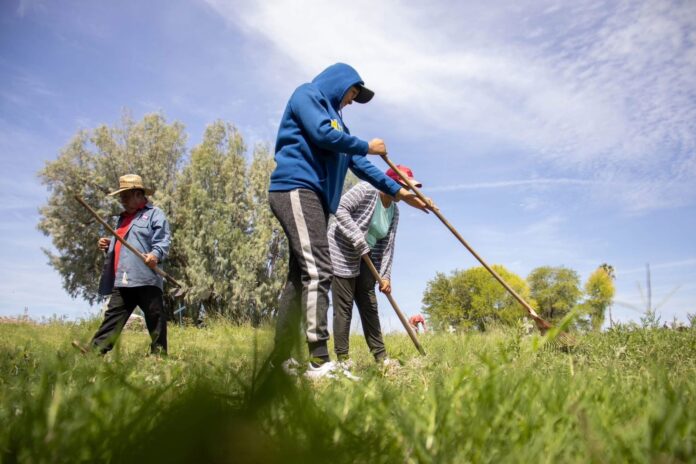 WhatsApp Image 2026-01-04 at 9.32.31 AM