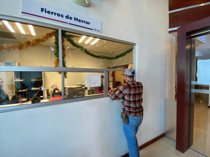 WhatsApp Image 2026-01-14 at 11.01.43 AM