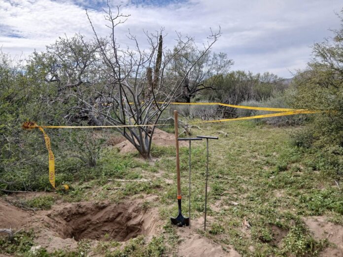 FB_IMG_1770058521725