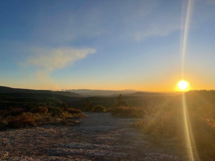 WhatsApp Image 2026-02-26 at 11.33.44 AM