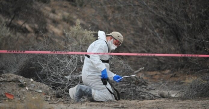 Screenshot_2026-03-31-14-55-10-31_680d03679600f7af0b4c700c6b270fe7~2