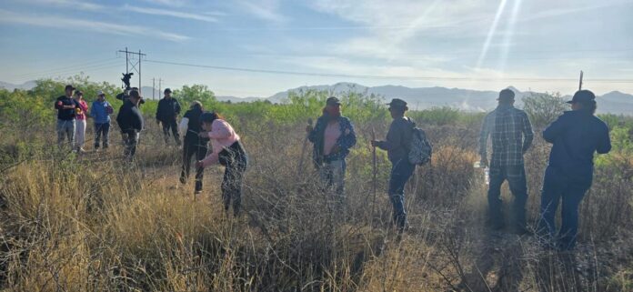 WhatsApp Image 2026-03-29 at 2.48.42 PM (1)