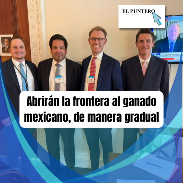 Copia de Copia de Copia de post de instagram dia mundial de los oceanos con_20260415_202744_0000