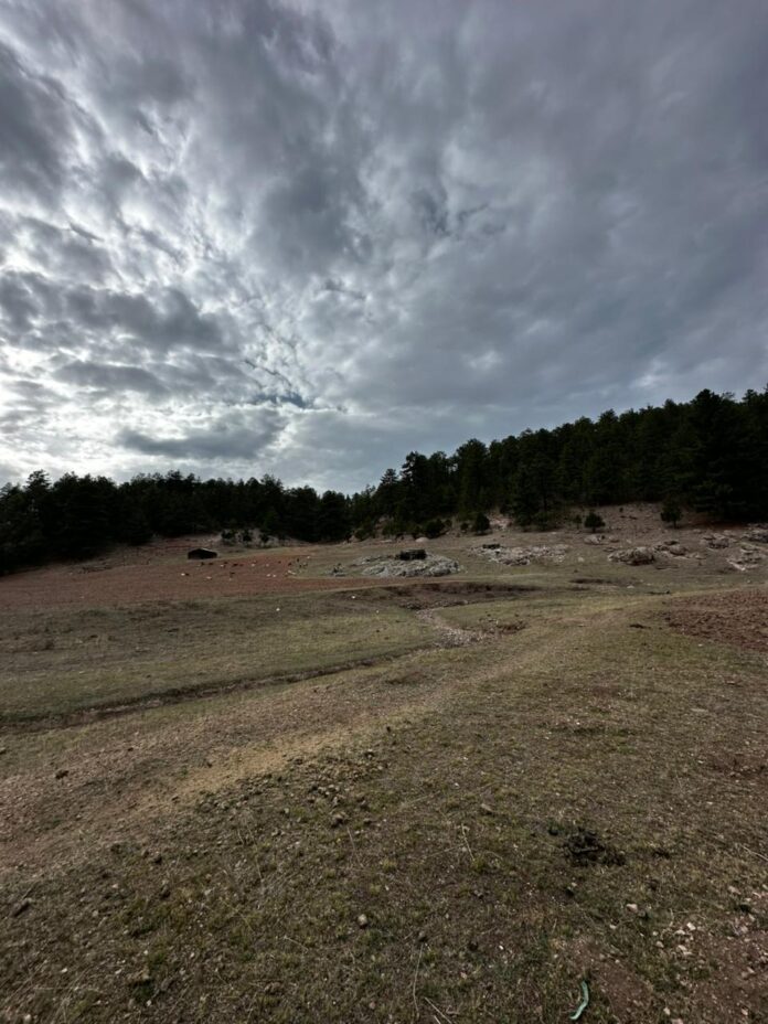 WhatsApp Image 2026-04-06 at 10.34.26 AM