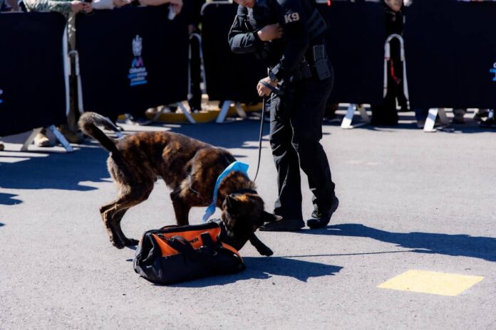 WhatsApp Image 2026-04-07 at 1.00.18 PM (3)