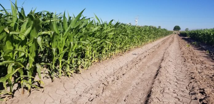 WhatsApp Image 2026-04-09 at 11.19.57 AM