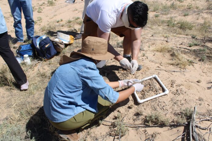 WhatsApp Image 2026-04-10 at 1.33.02 PM