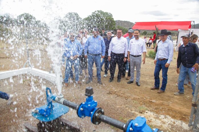 WhatsApp Image 2026-06-11 at 8.21.12 AM