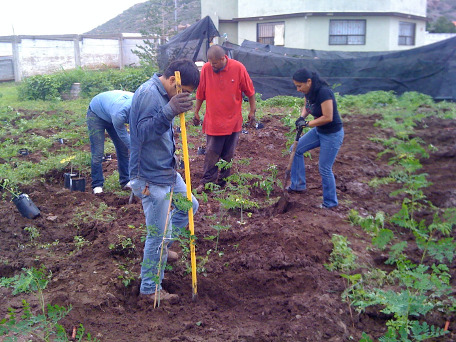 IMG-20260718-WA0045