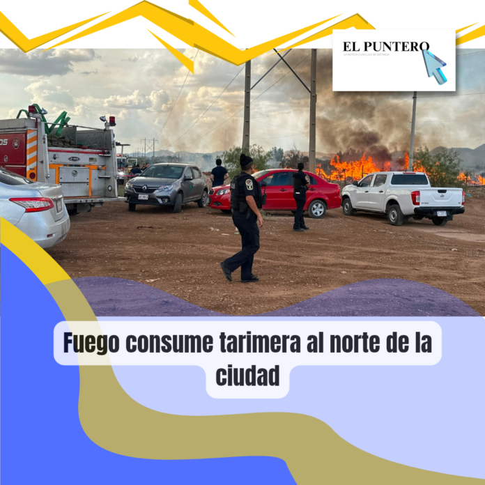 Copia de Copia de Copia de Copia de post de instagram dia mundial de los oc_20260809_184704_0000