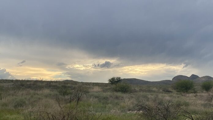 IMG-20261023-WA0047
